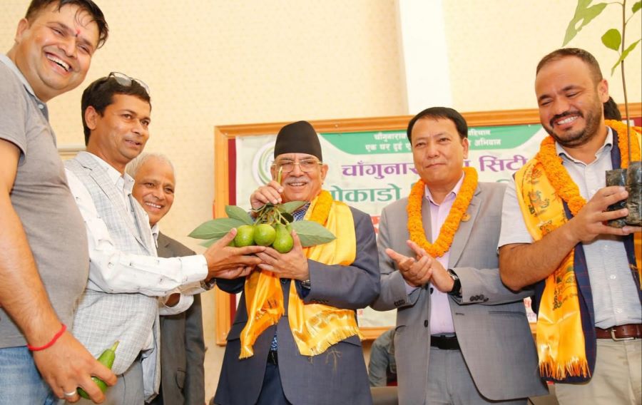Samachar Dainik